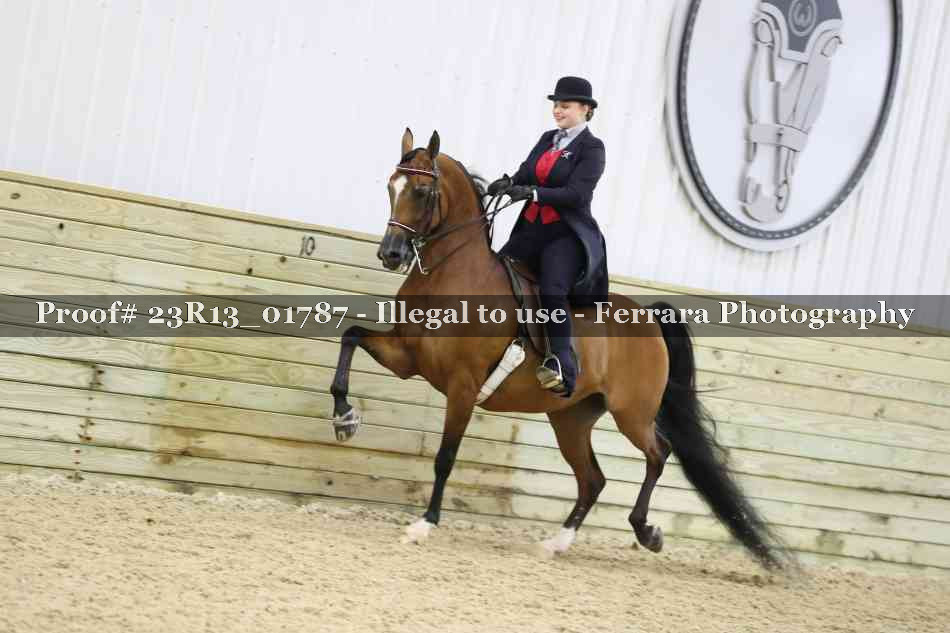 Proof 23R13_01787