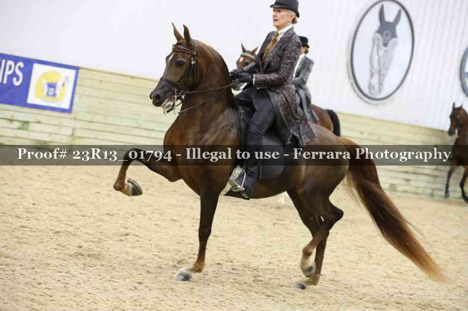 Proof 23R13_01794