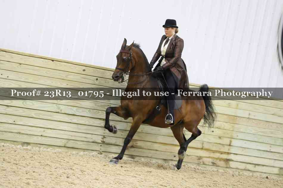 Proof 23R13_01795