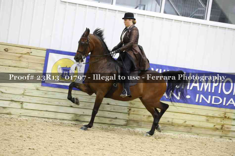 Proof 23R13_01797