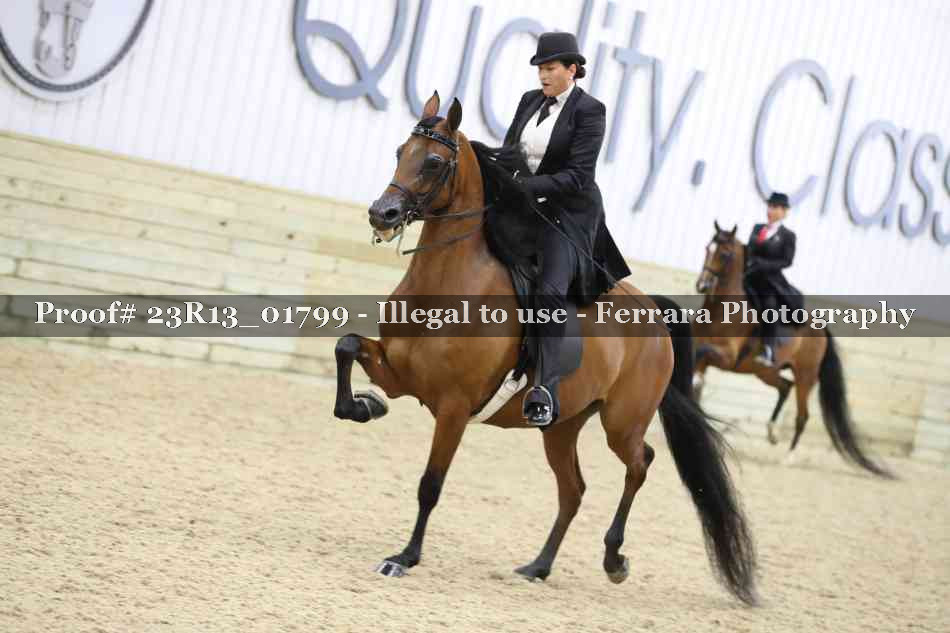 Proof 23R13_01799