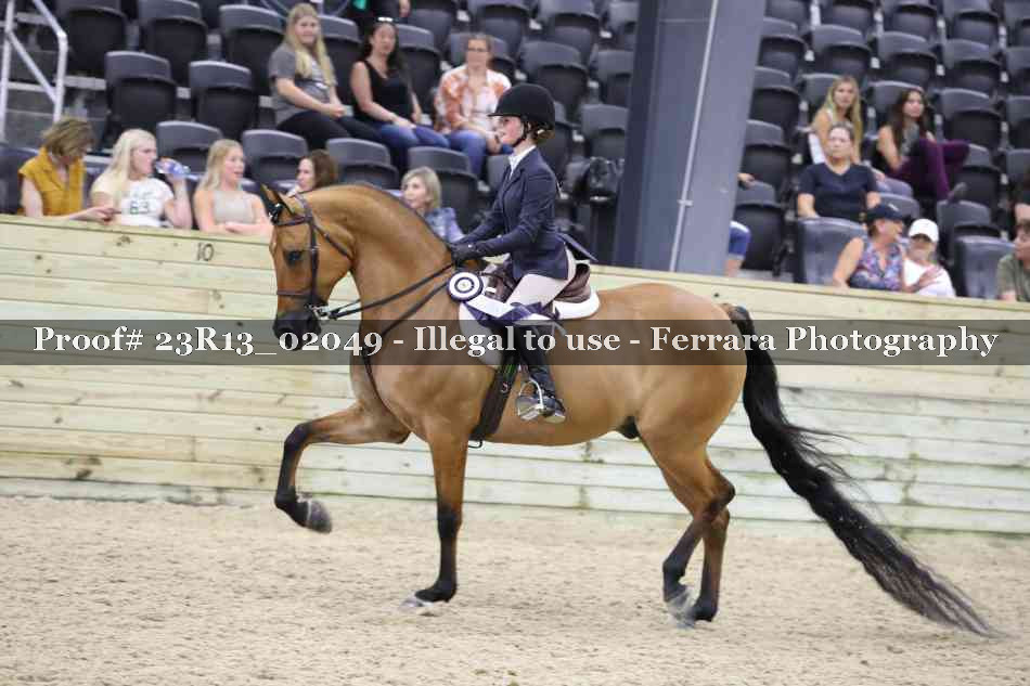 Proof 23R13_02049