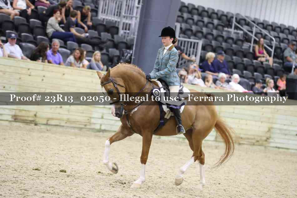 Proof 23R13_02050