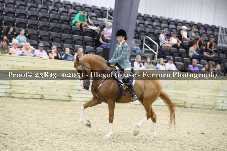 Proof 23R13_02051