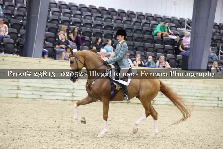 Proof 23R13_02052