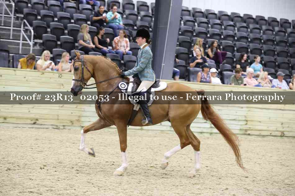Proof 23R13_02053
