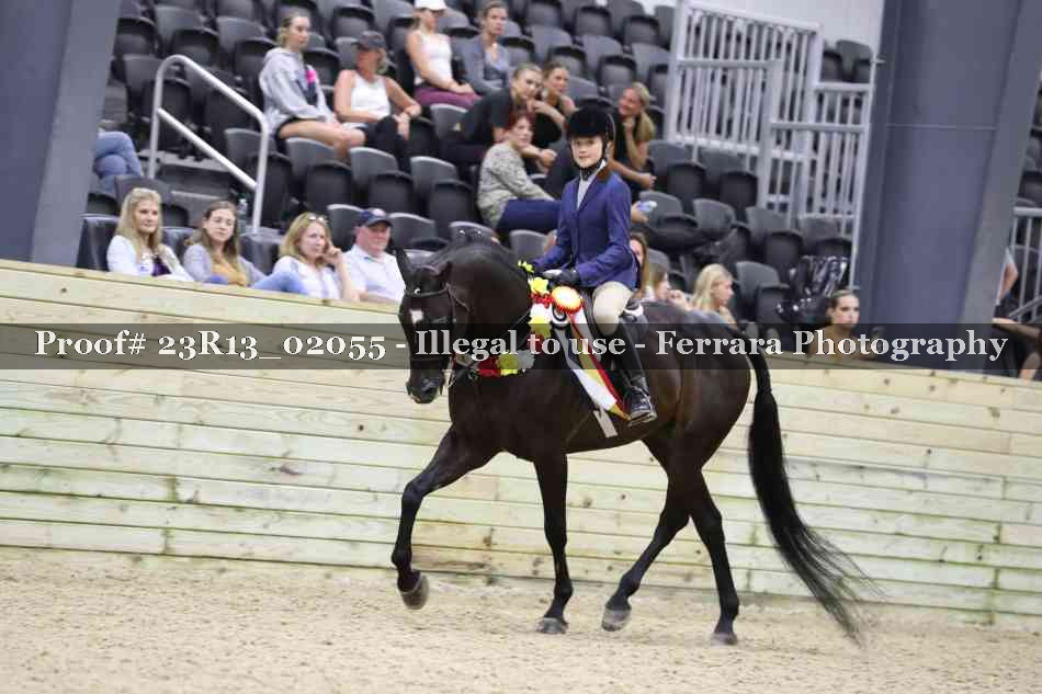 Proof 23R13_02055
