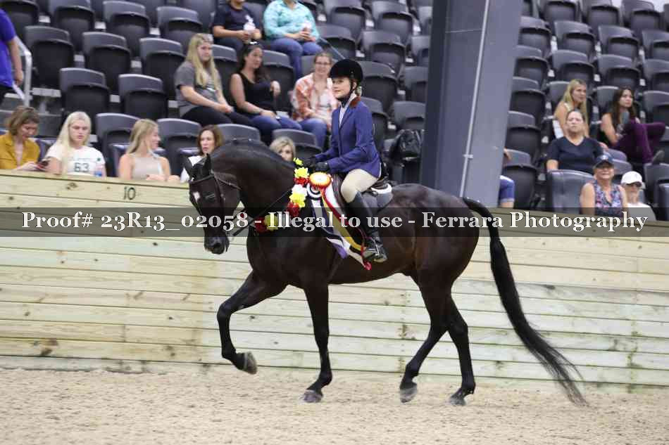 Proof 23R13_02058