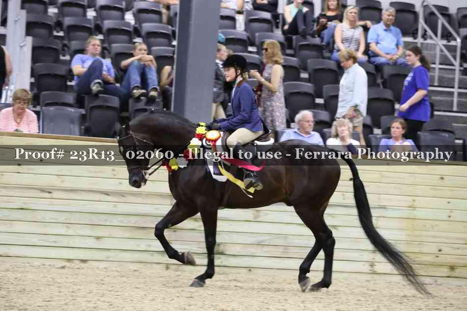 Proof 23R13_02060
