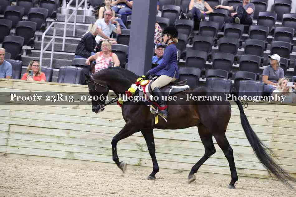 Proof 23R13_02061