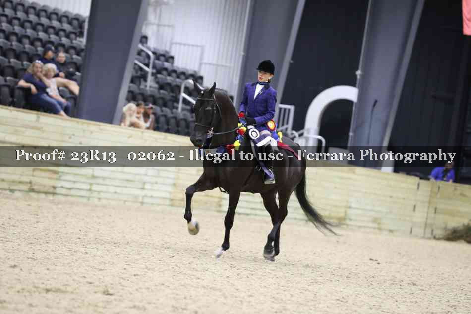 Proof 23R13_02062