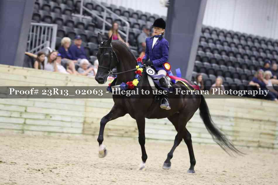 Proof 23R13_02063