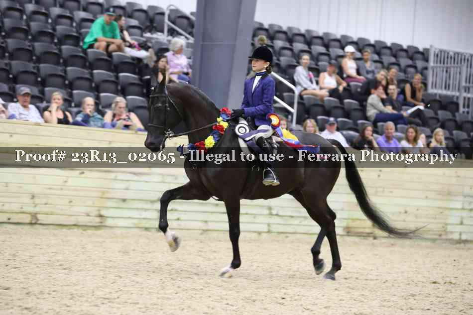 Proof 23R13_02065