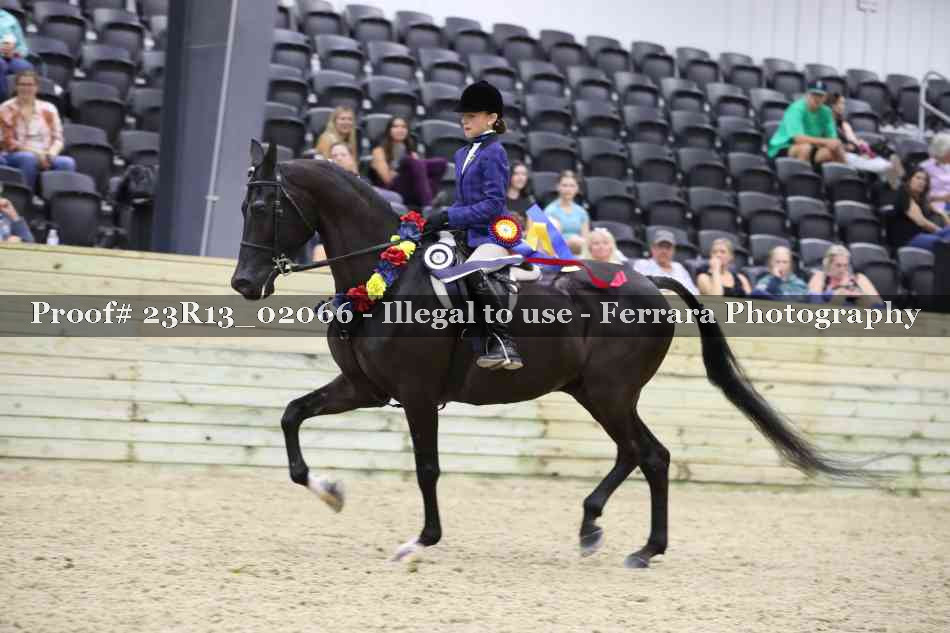 Proof 23R13_02066