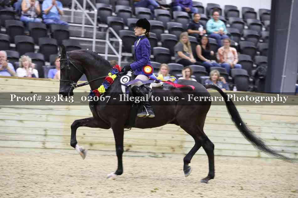 Proof 23R13_02067