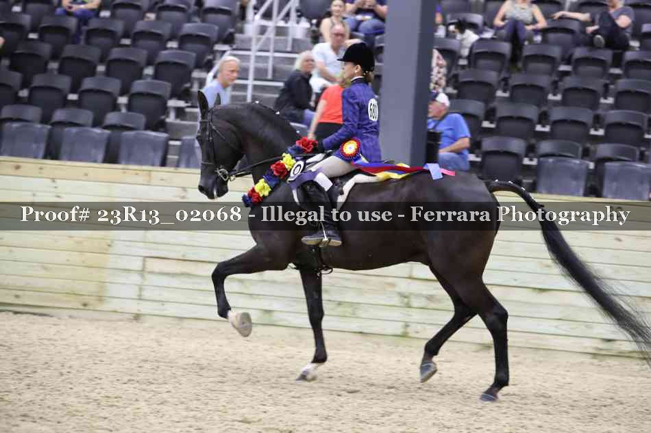 Proof 23R13_02068