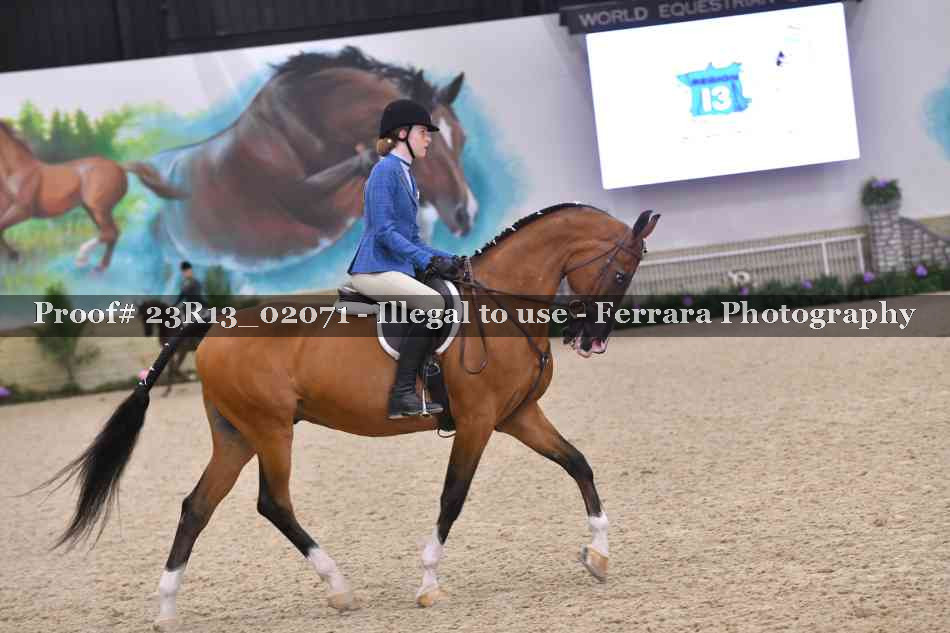 Proof 23R13_02071