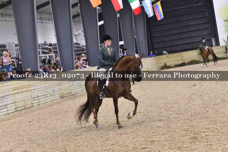 Proof 23R13_02073
