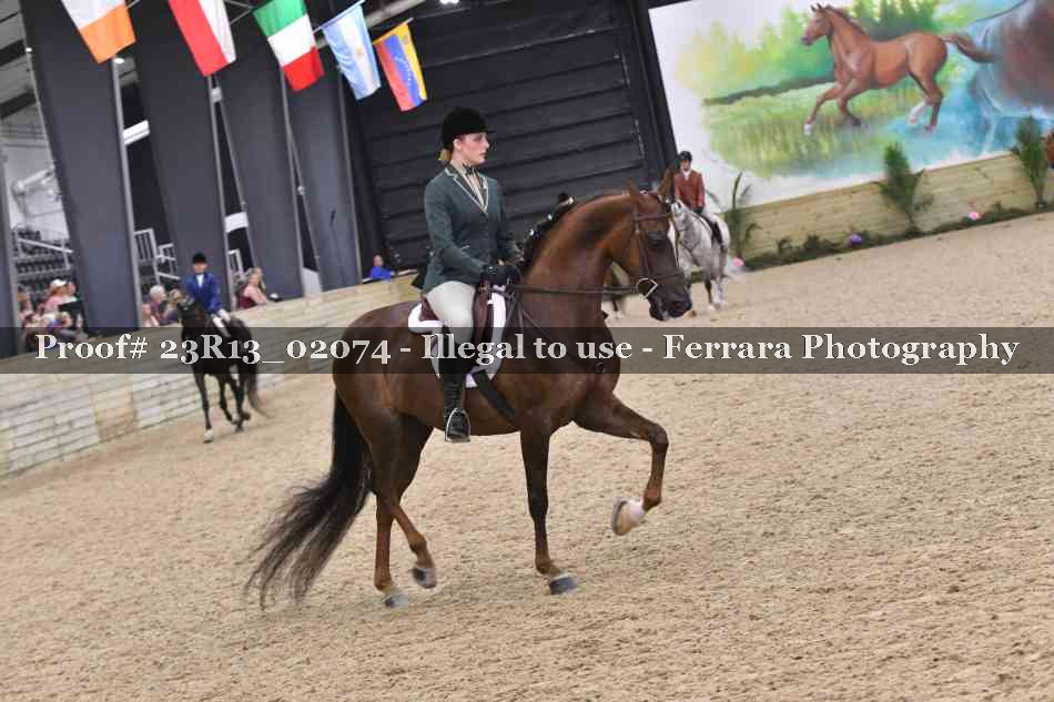 Proof 23R13_02074