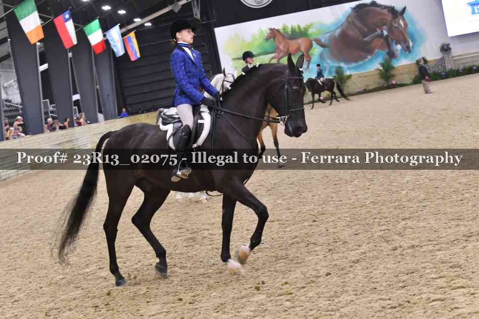 Proof 23R13_02075