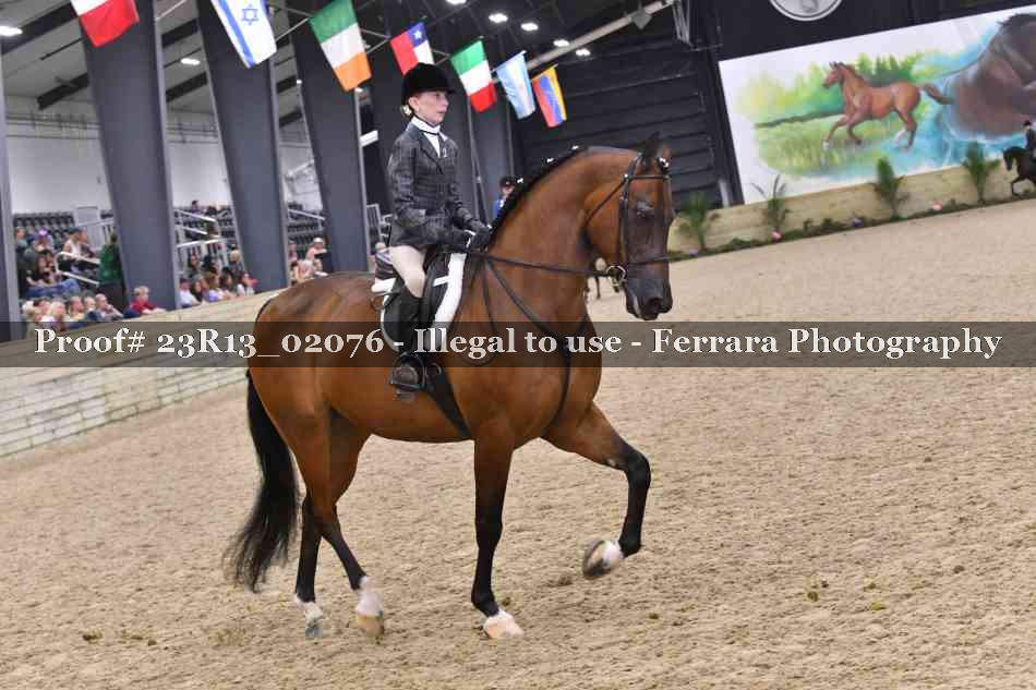 Proof 23R13_02076
