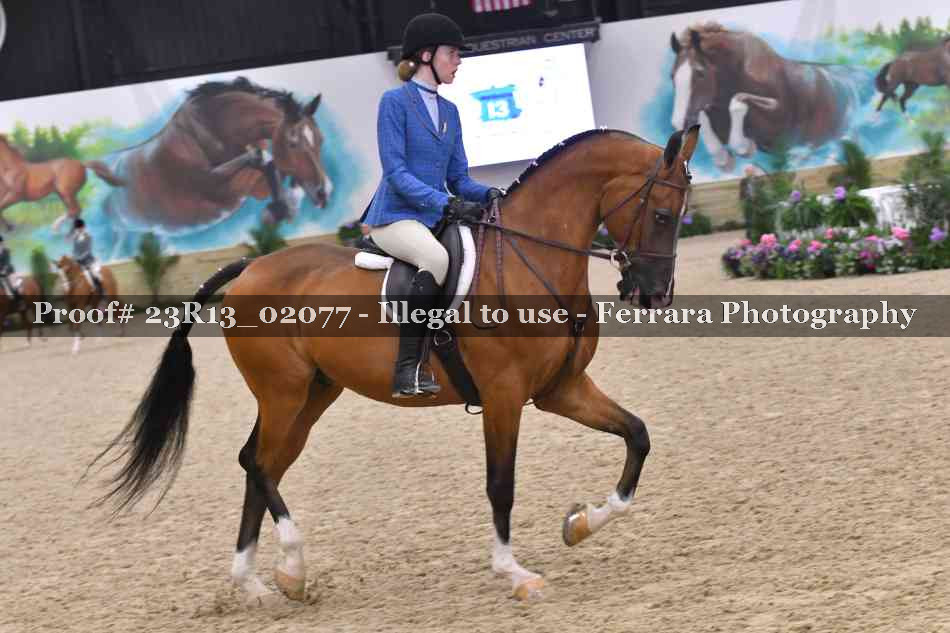 Proof 23R13_02077