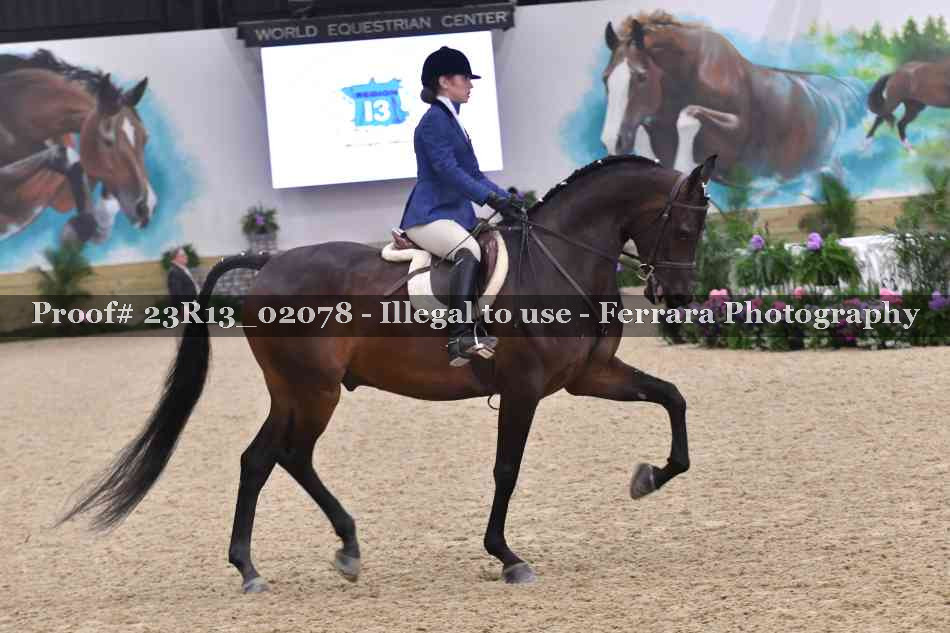 Proof 23R13_02078