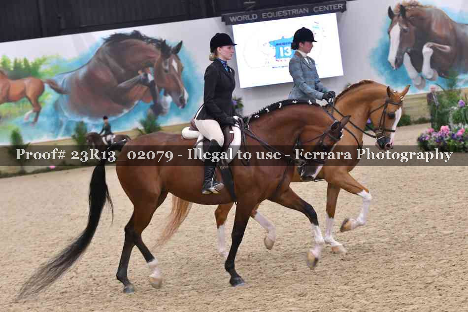 Proof 23R13_02079