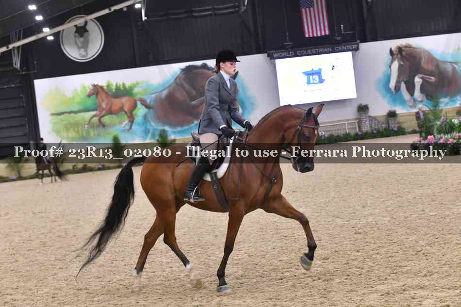 Proof 23R13_02080