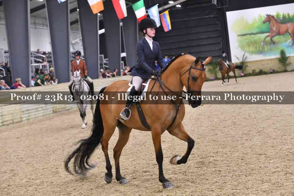 Proof 23R13_02081
