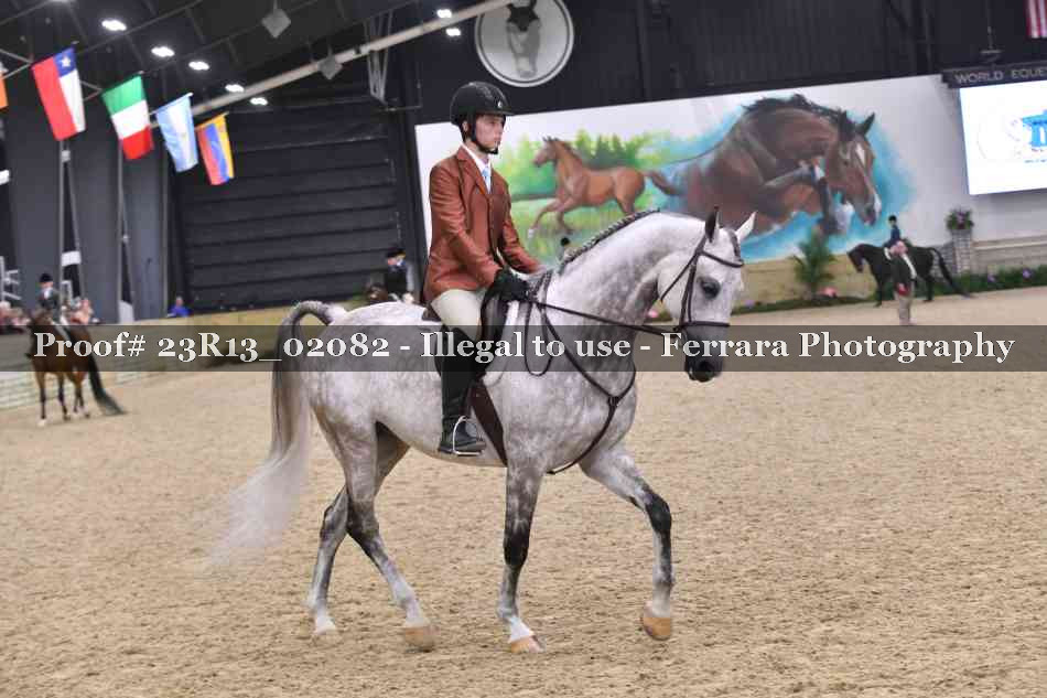 Proof 23R13_02082