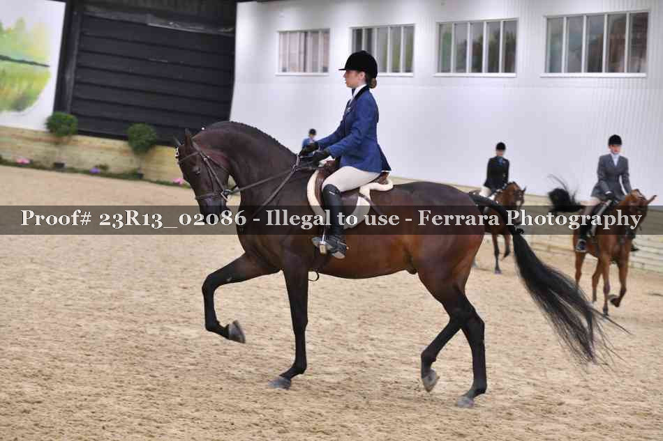 Proof 23R13_02086