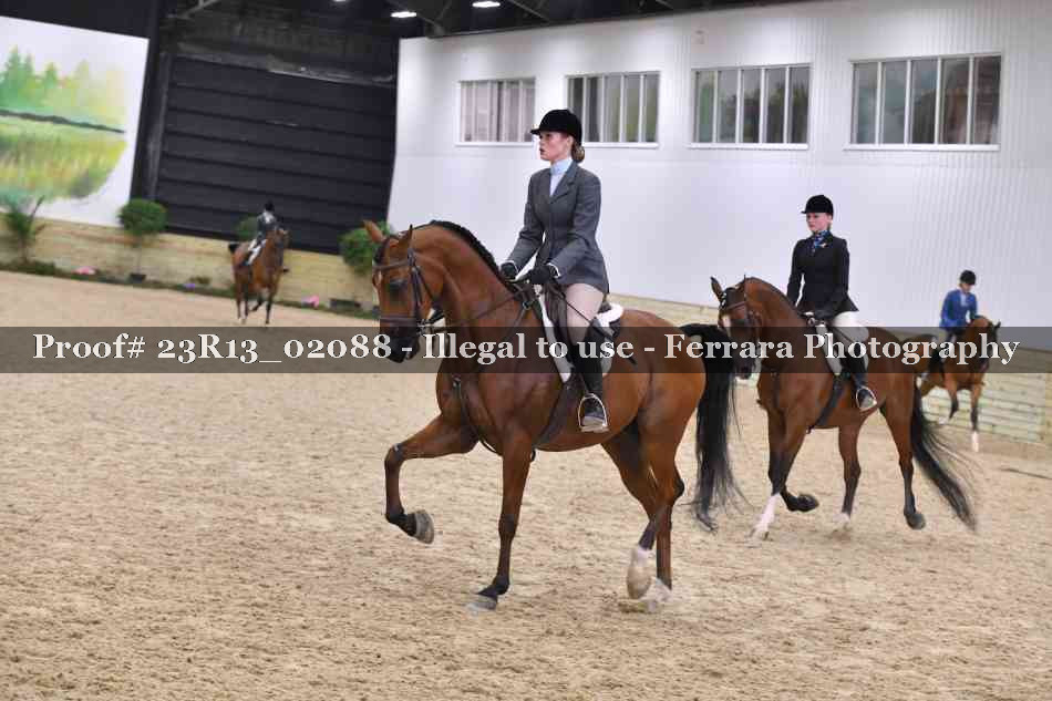 Proof 23R13_02088