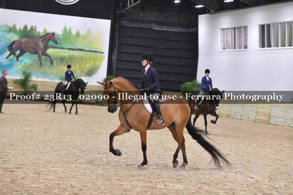 Proof 23R13_02090