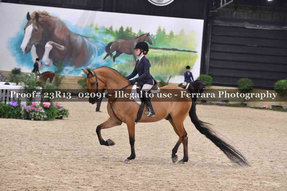 Proof 23R13_02091