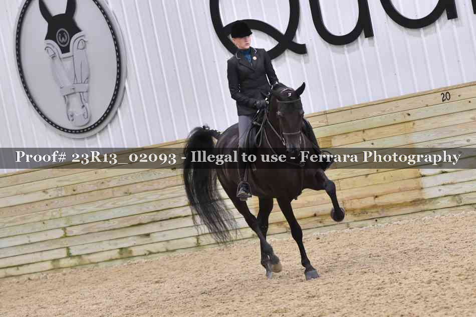 Proof 23R13_02093