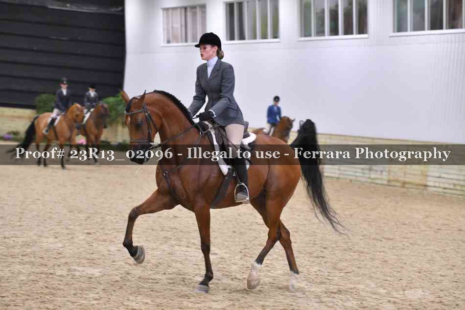 Proof 23R13_02096