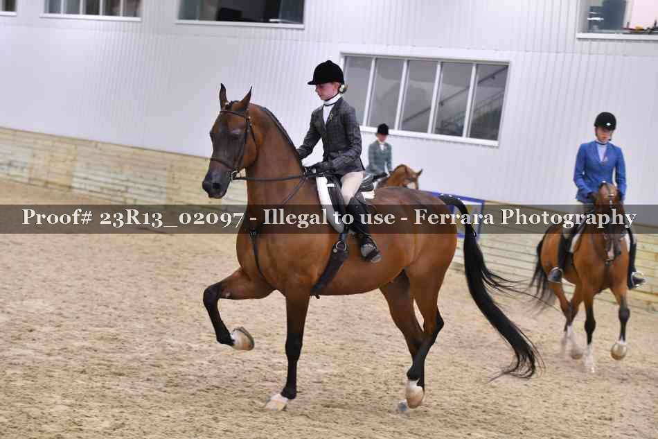 Proof 23R13_02097