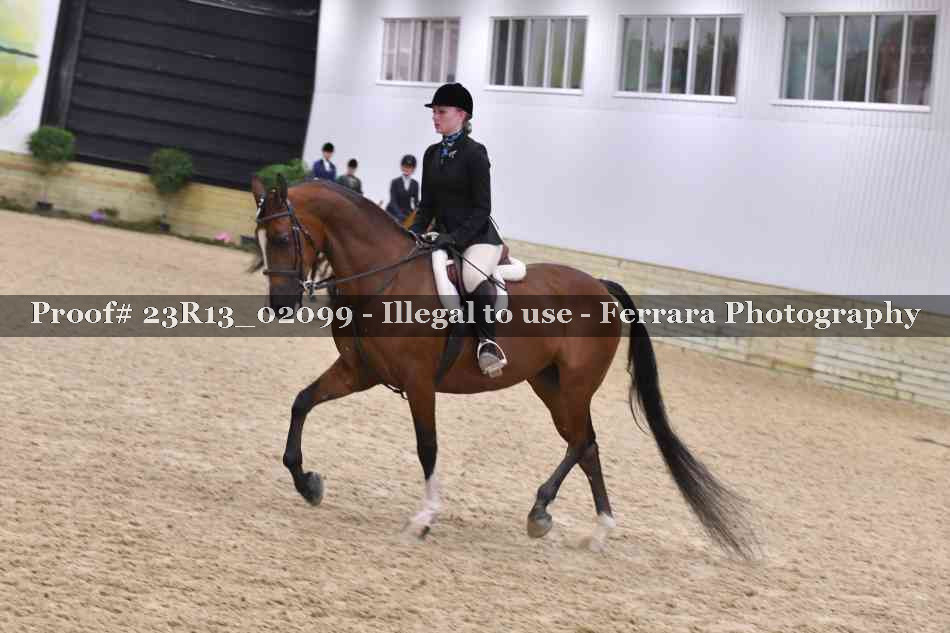Proof 23R13_02099
