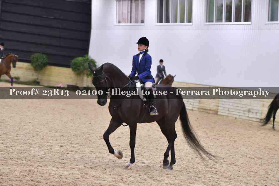 Proof 23R13_02100