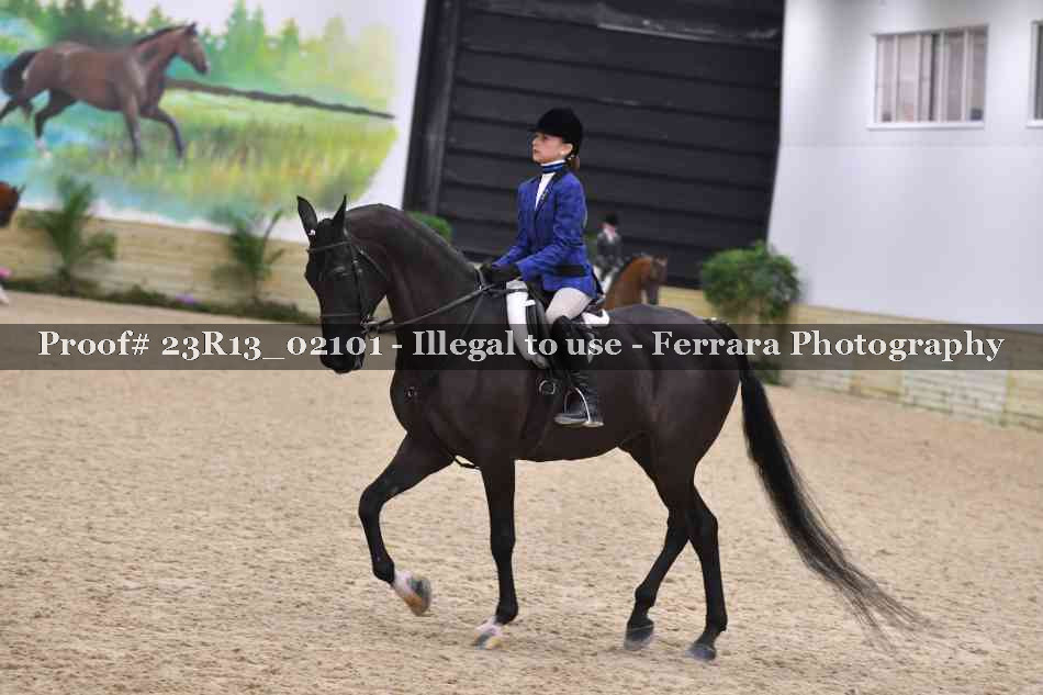 Proof 23R13_02101