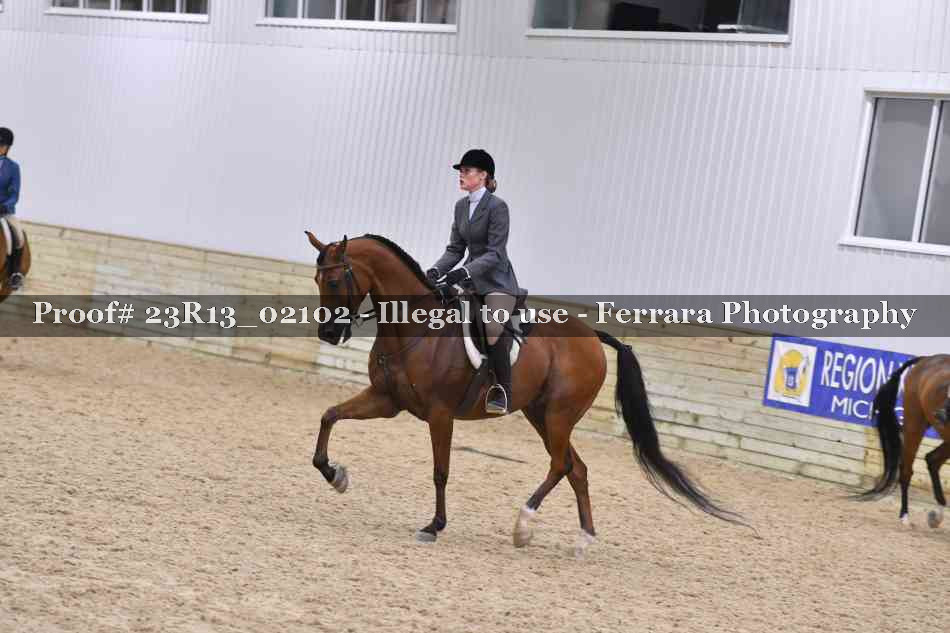 Proof 23R13_02102