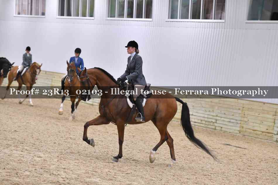 Proof 23R13_02103