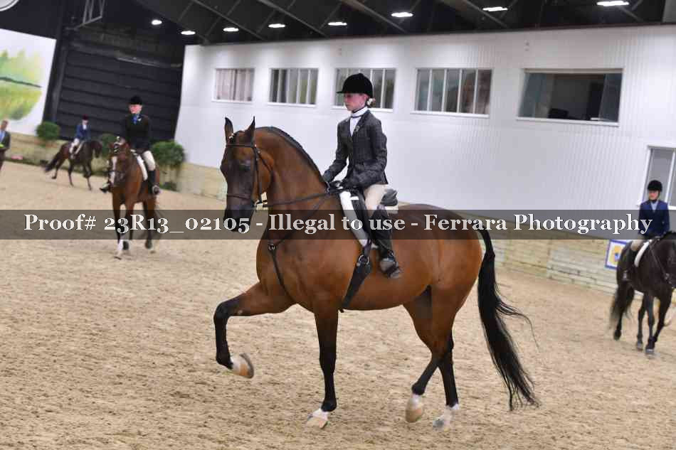 Proof 23R13_02105