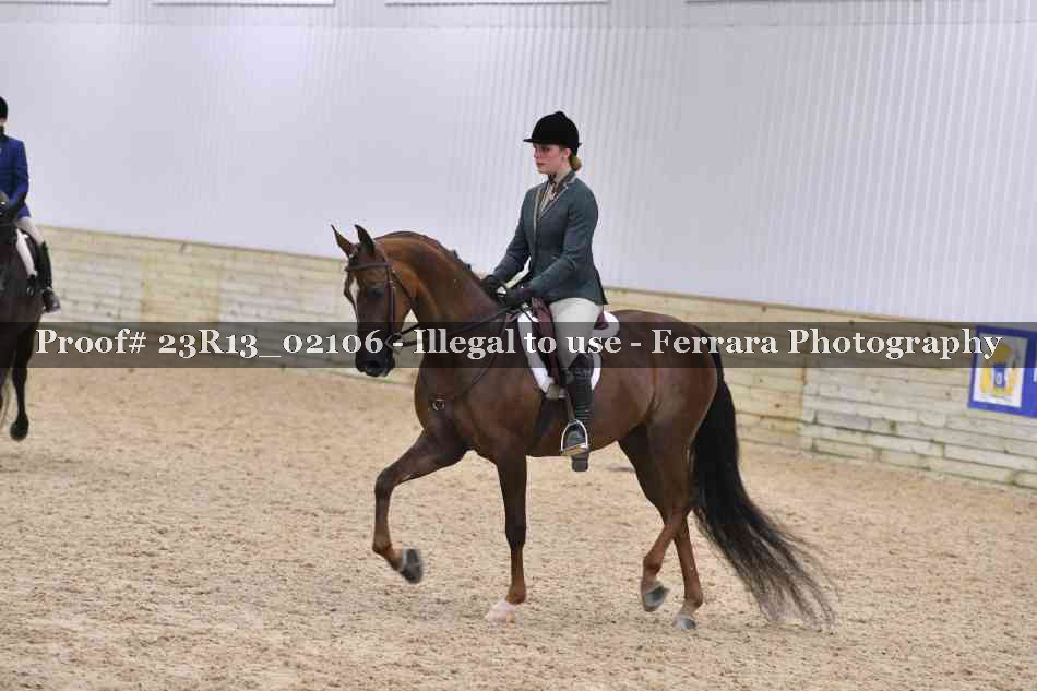 Proof 23R13_02106