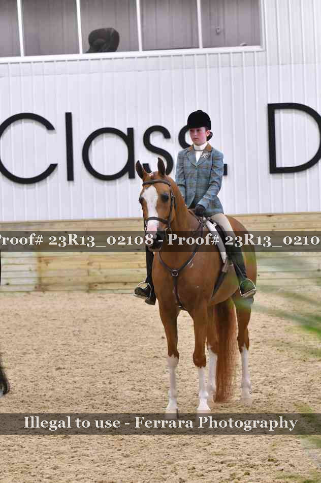 Proof 23R13_02108