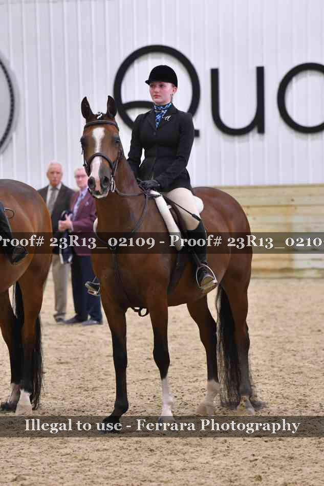 Proof 23R13_02109