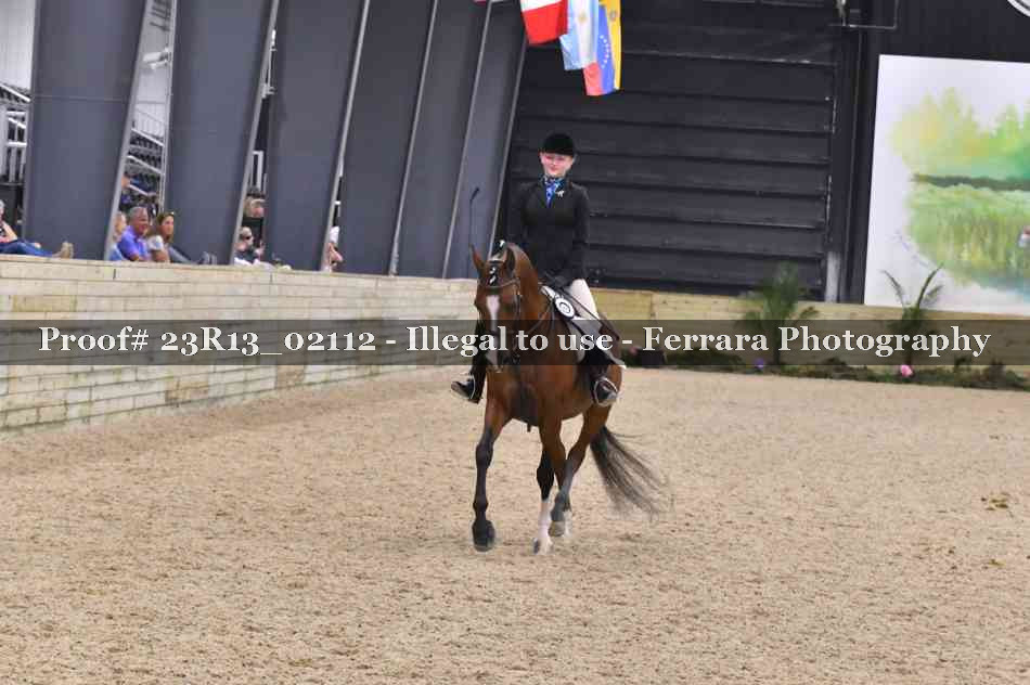 Proof 23R13_02112