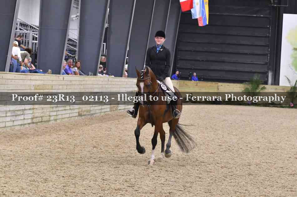 Proof 23R13_02113