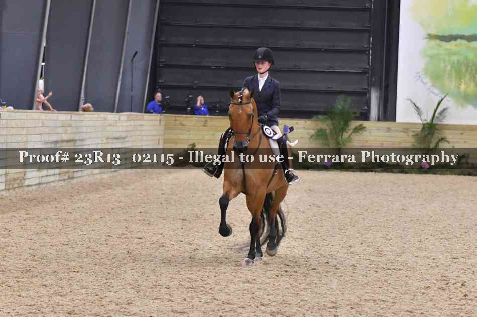 Proof 23R13_02115